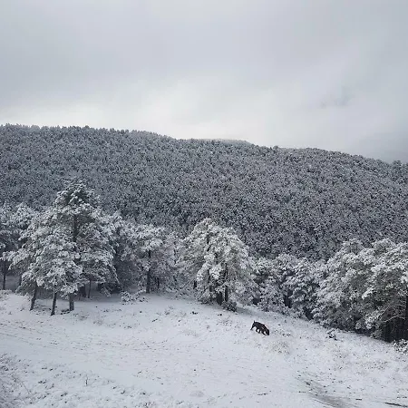 Acogedora Casa En La Montana * La Virgen de la Vega